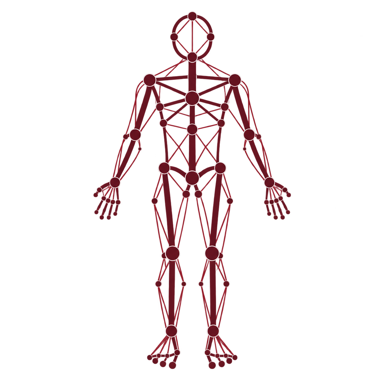 Tensegrity body model
